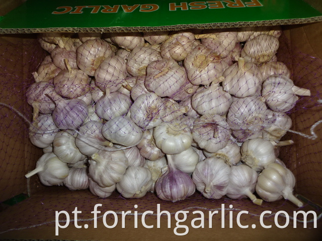 Regular White Garlic